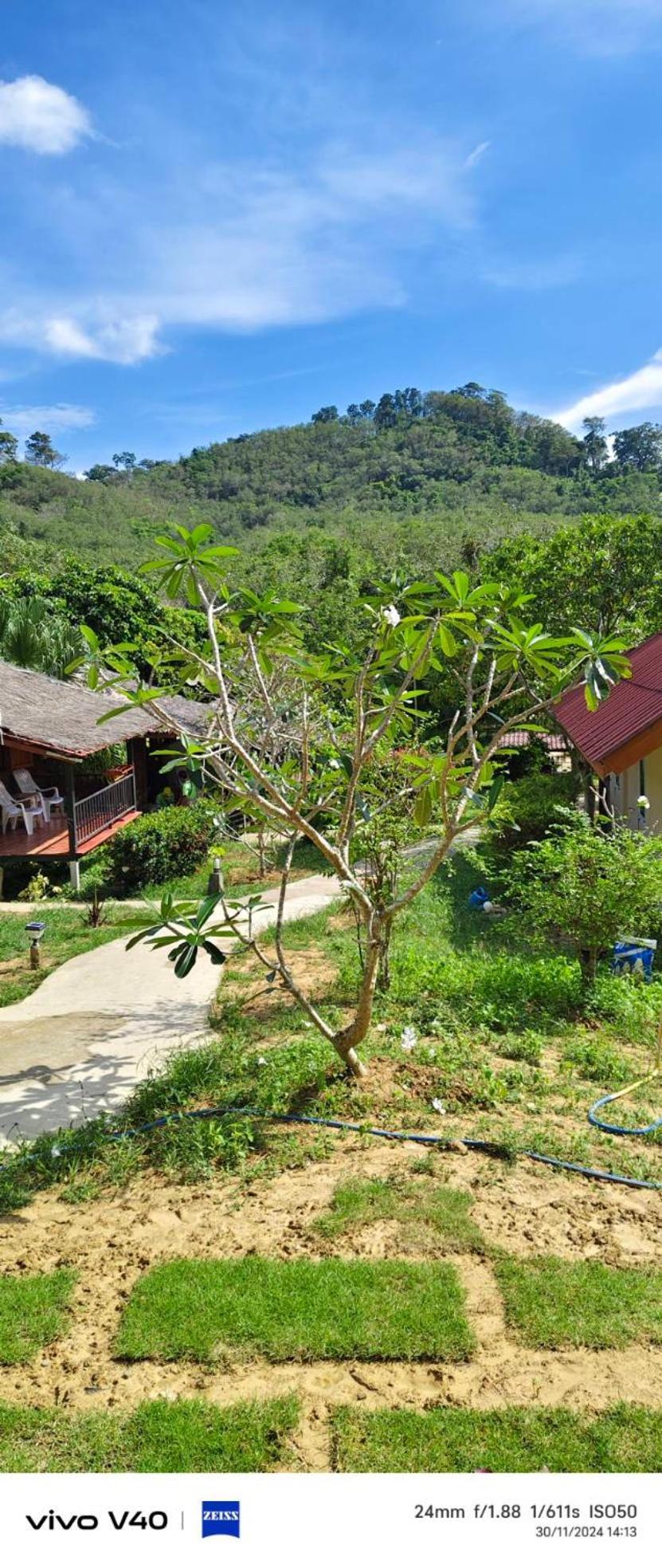 Mookies Bungalows Ko Muk Extérieur photo